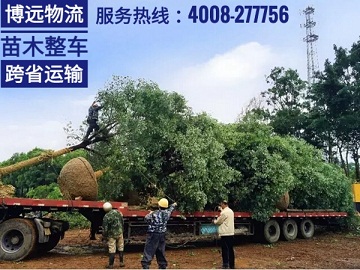整車直達安全保時效 4008-277756.jpg 整車直達安全保時效 4008-277756.jpg